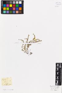 SW_BNB_s3010-06647_IMG-0000000001