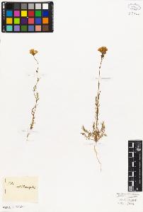 SW_BNB_s3010-06650_IMG-0000000001