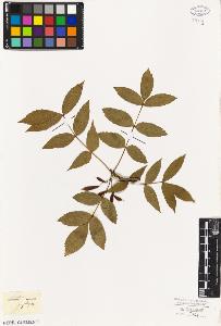 SW_BNB_s3010-06654_IMG-0000000001