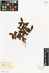 SW_BNB_s3010-06658_IMG-0000000001