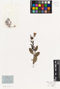 SW_BNB_s3010-06669_IMG-0000000001