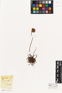 SW_BNB_s3010-06672_IMG-0000000001