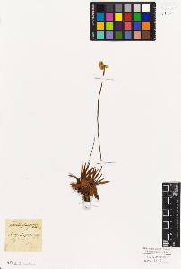 SW_BNB_s3010-06673_IMG-0000000001