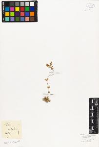 SW_BNB_s3010-06678_IMG-0000000001
