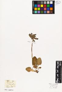 SW_BNB_s3010-06680_IMG-0000000001