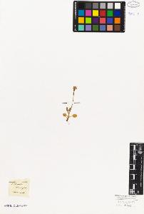 SW_BNB_s3010-06684_IMG-0000000001