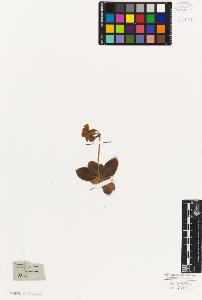 SW_BNB_s3010-06687_IMG-0000000001