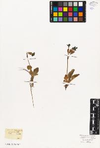 SW_BNB_s3010-06688_IMG-0000000001