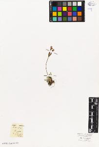 SW_BNB_s3010-06690_IMG-0000000001