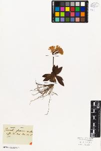 SW_BNB_s3010-06691_IMG-0000000001