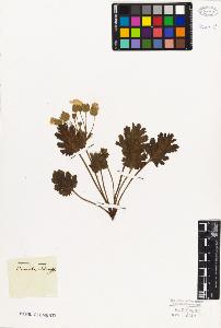 SW_BNB_s3010-06693_IMG-0000000001