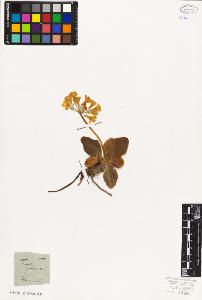 SW_BNB_s3010-06694_IMG-0000000001