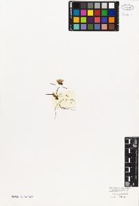 SW_BNB_s3010-06695_IMG-0000000001