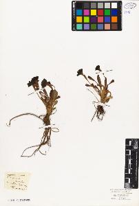 SW_BNB_s3010-06696_IMG-0000000001