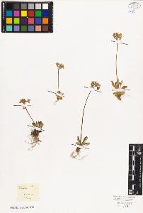 SW_BNB_s3010-06697_IMG-0000000001
