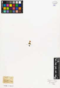 SW_BNB_s3010-06699_IMG-0000000001