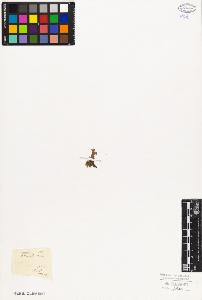 SW_BNB_s3010-06700_IMG-0000000001