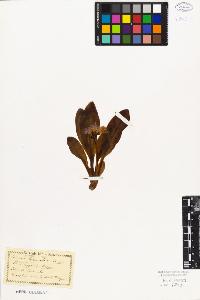 SW_BNB_s3010-06702_IMG-0000000001