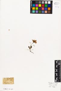 SW_BNB_s3010-06703_IMG-0000000001