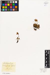 SW_BNB_s3010-06705_IMG-0000000001