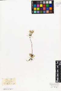 SW_BNB_s3010-06706_IMG-0000000001