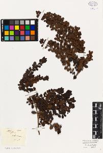 SW_BNB_s3010-06711_IMG-0000000001