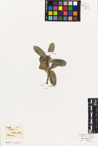 SW_BNB_s3010-06712_IMG-0000000001