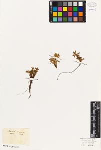 SW_BNB_s3010-06713_IMG-0000000001