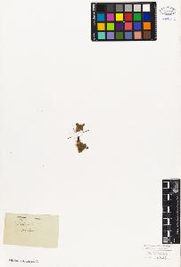 SW_BNB_s3010-06714_IMG-0000000001