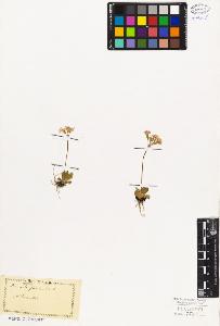 SW_BNB_s3010-06715_IMG-0000000001