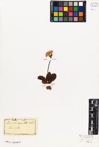 SW_BNB_s3010-06716_IMG-0000000001