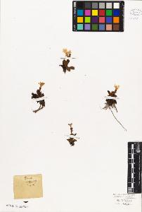 SW_BNB_s3010-06718_IMG-0000000001