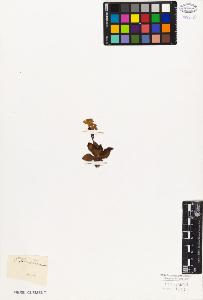 SW_BNB_s3010-06720_IMG-0000000001