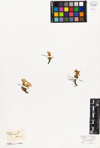 SW_BNB_s3010-06723_IMG-0000000001