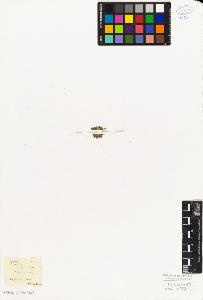 SW_BNB_s3010-06724_IMG-0000000001