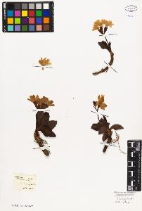 SW_BNB_s3010-06725_IMG-0000000001