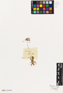 SW_BNB_s3010-06726_IMG-0000000001