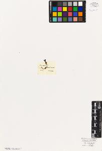 SW_BNB_s3010-06727_IMG-0000000001