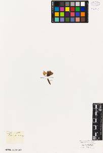 SW_BNB_s3010-06728_IMG-0000000001