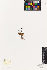 SW_BNB_s3010-06729_IMG-0000000001