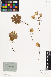 SW_BNB_s3010-06730_IMG-0000000001
