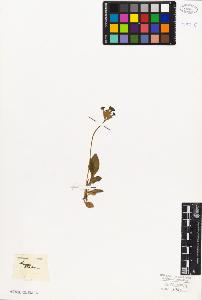 SW_BNB_s3010-06731_IMG-0000000001