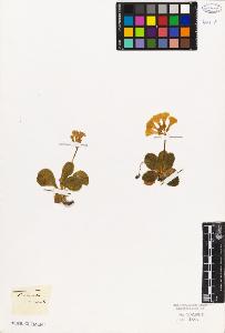 SW_BNB_s3010-06732_IMG-0000000001