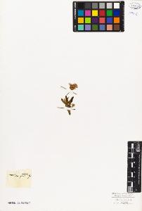 SW_BNB_s3010-06733_IMG-0000000001