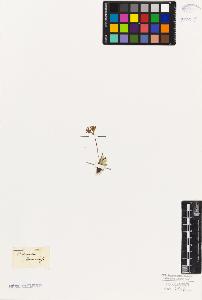 SW_BNB_s3010-06734_IMG-0000000001
