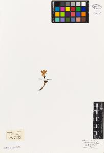 SW_BNB_s3010-06735_IMG-0000000001