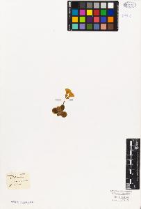 SW_BNB_s3010-06736_IMG-0000000001