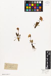 SW_BNB_s3010-06737_IMG-0000000001