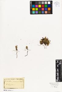 SW_BNB_s3010-06739_IMG-0000000001
