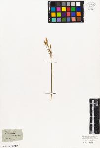 SW_BNB_s3010-06740_IMG-0000000001